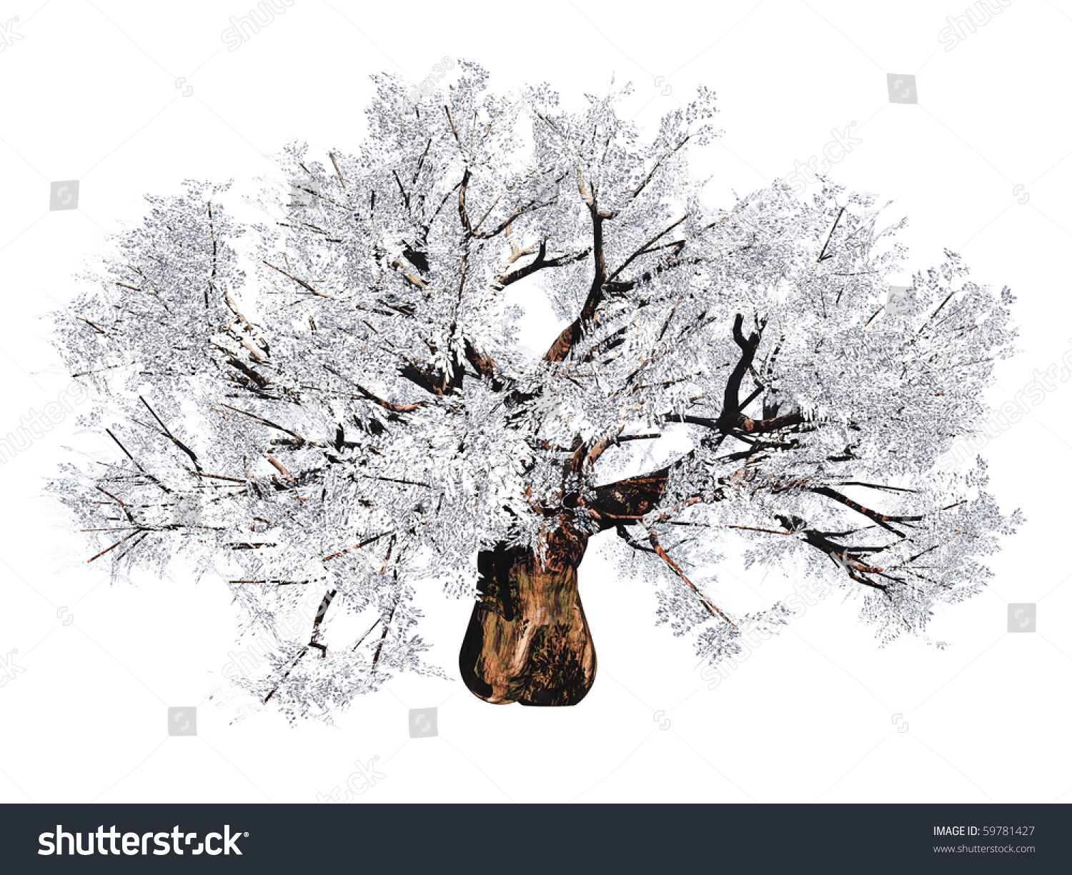 High Resolution Old Baobab Tree Isolated Stock Illustration 59781427   Stock Photo High Resolution Old Baobab Tree Isolated On White 59781427 