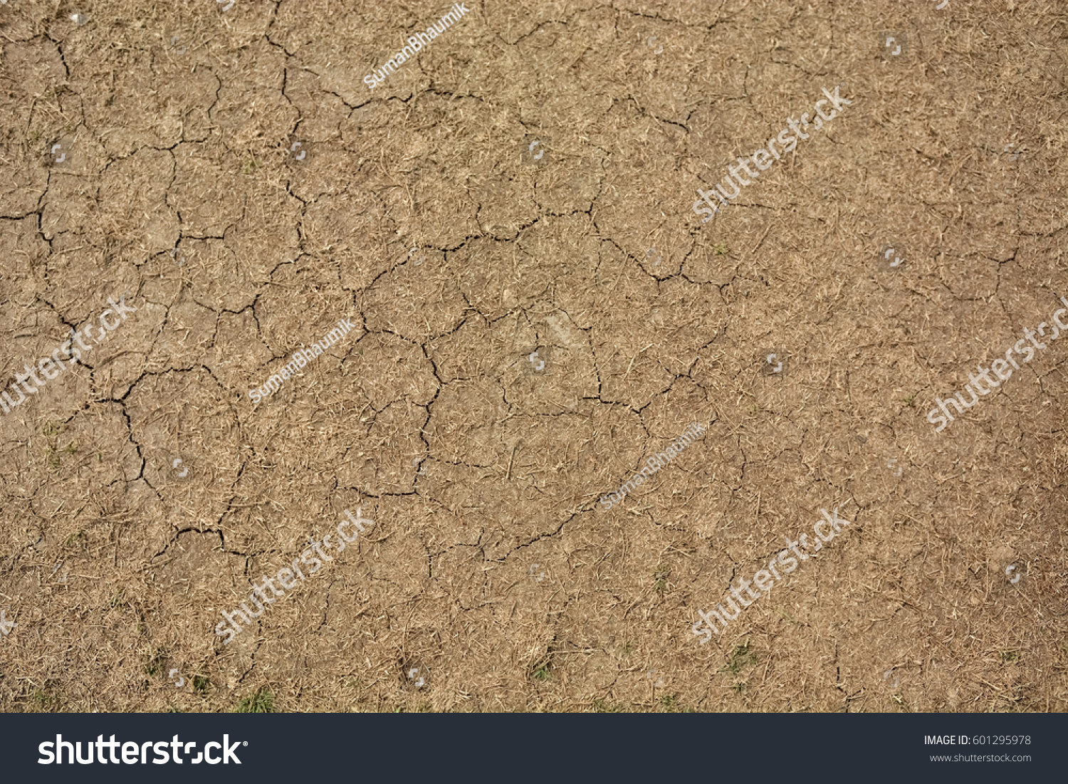 Cricket Pitch Texture Background Soil Foto Stok Shutterstock