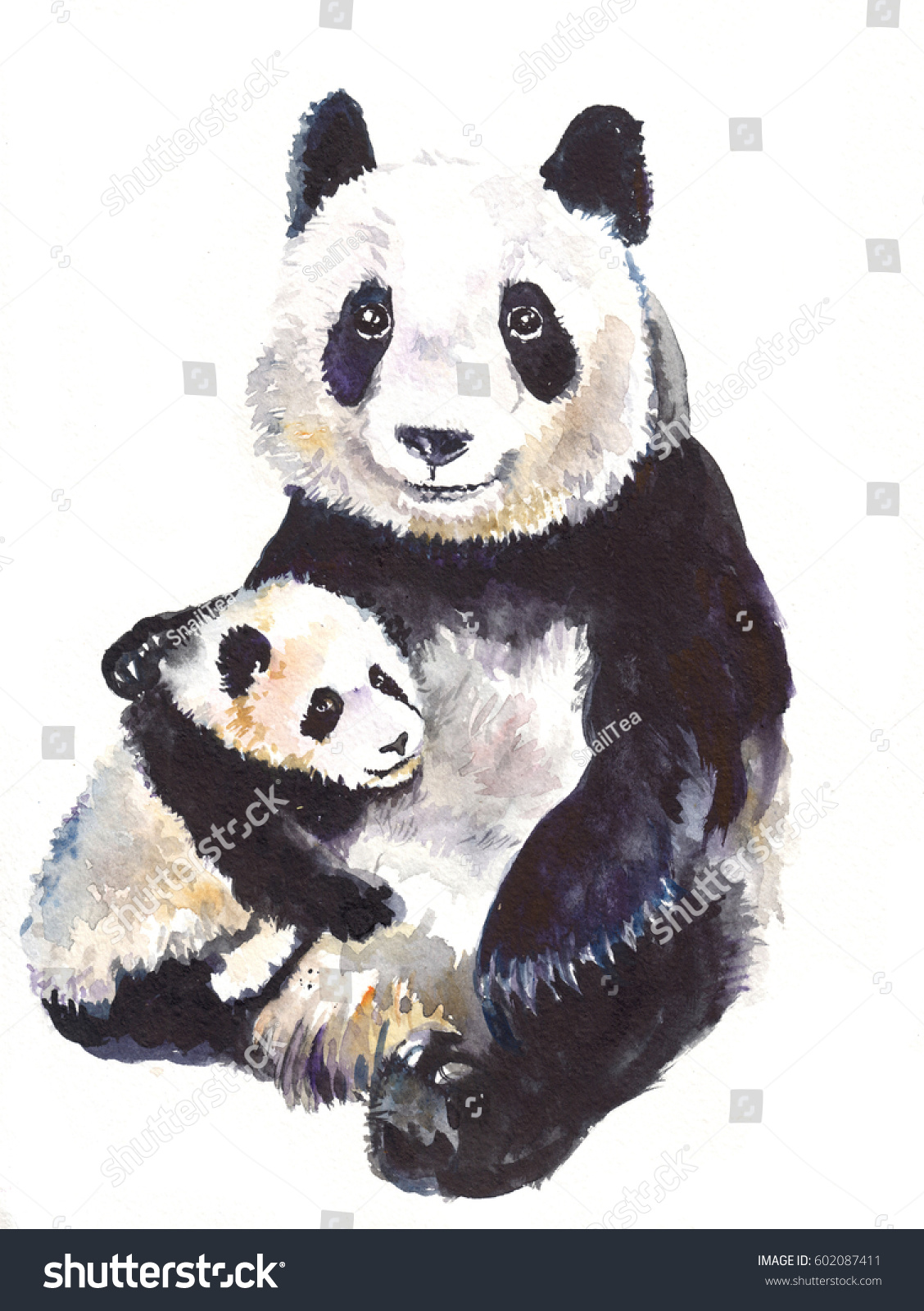 Panda Mother Babywatercolor Hand Drawn Illustration Stock Illustration ...