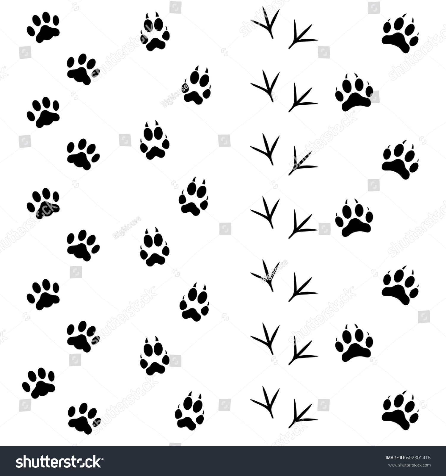 Black Different Animal Bird Silhouettes Tracks Stock Vector (Royalty ...