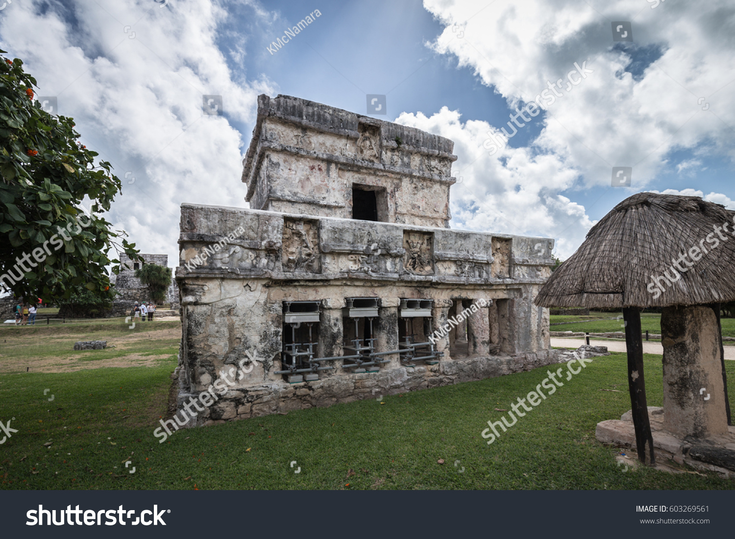 medicine tulum mayan