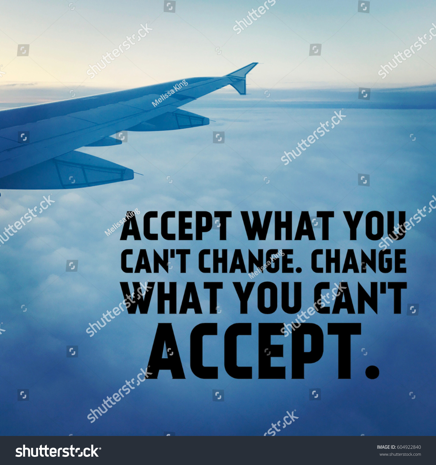 Accept The Things You Cannot Change Quote Quote Accept What You Cant Change Stock Photo 604922840 | Shutterstock Accept The Things You Cannot Change Quote Quote Accept What You Cant Change Stock Photo 604922840 | Shutterstock