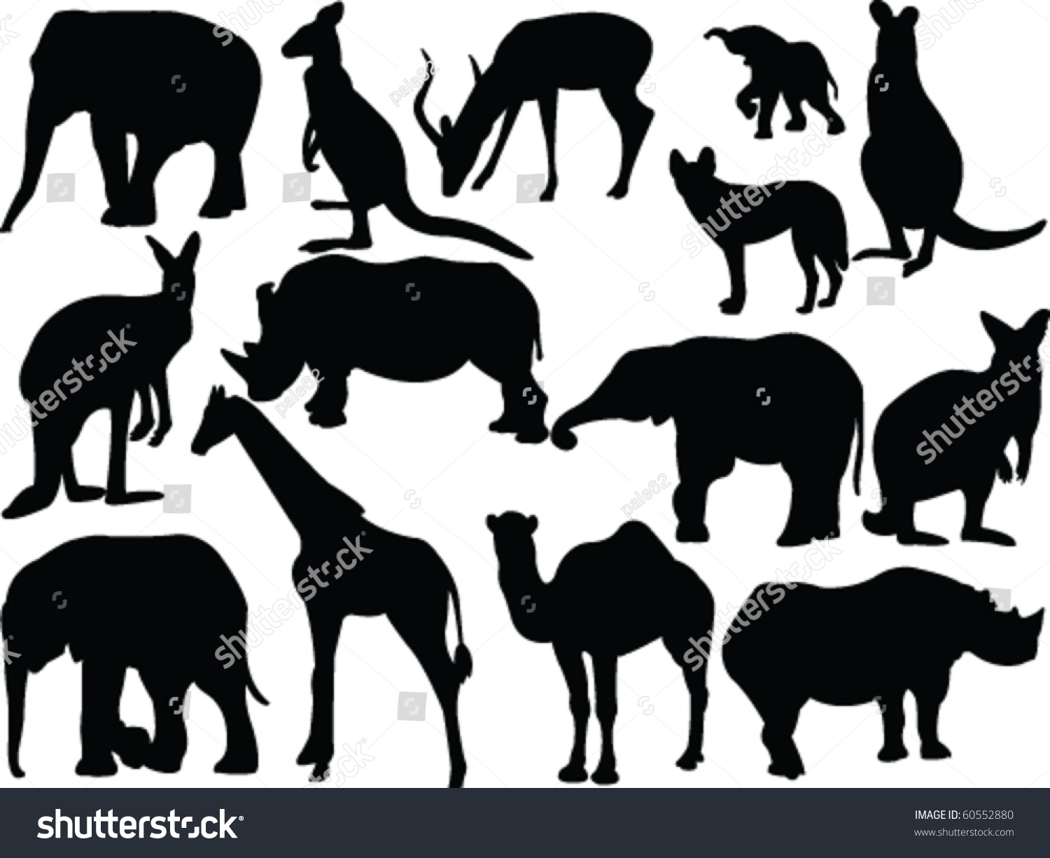 Collection Wild Animals Vector Stock Vector (Royalty Free) 60552880