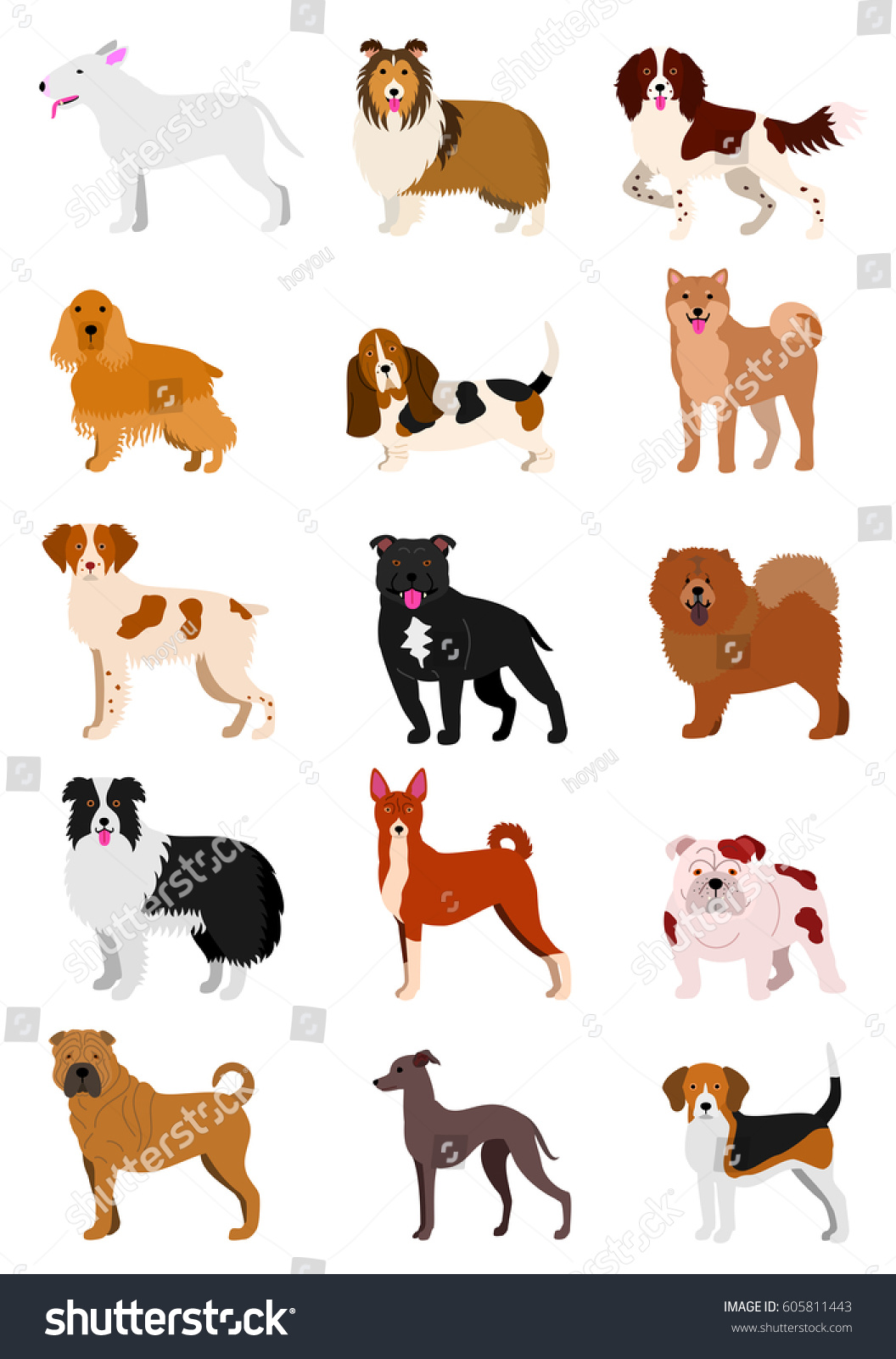 Medium Dog Breeds Line Art Set Stock Vector (Royalty Free) 605811443 ...