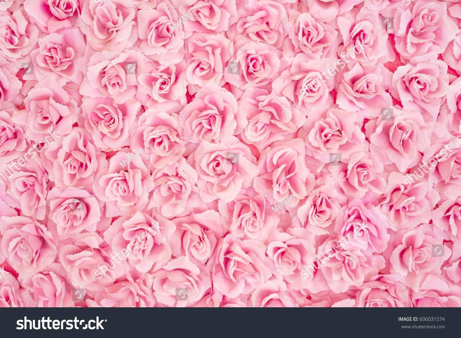 2,769,607 Rose pink Images, Stock Photos & Vectors | Shutterstock