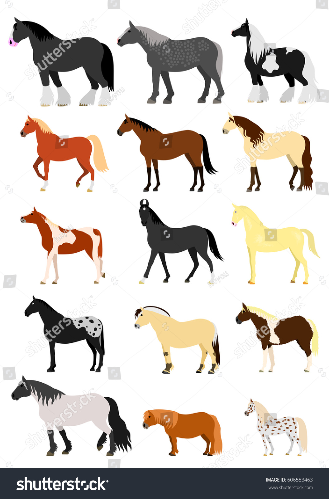 1 Basikir Horse Images, Stock Photos & Vectors | Shutterstock