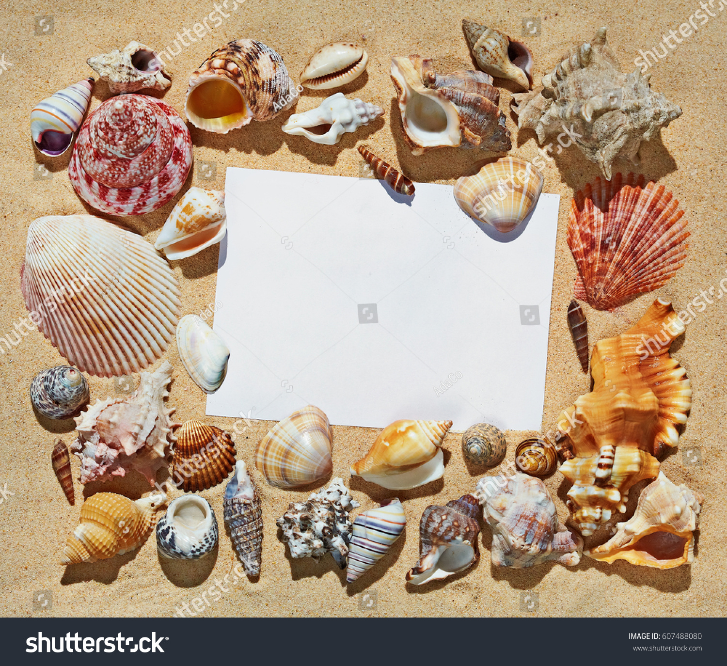 Frame Blank Space Made Colorful Beautiful Stock Photo 607488080 ...