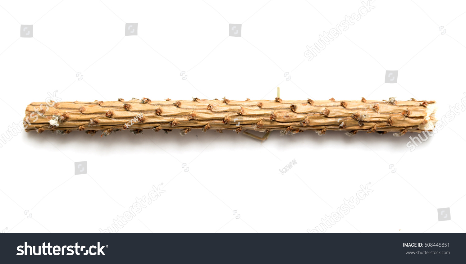 Naked Branch On White Background Stock Photo Shutterstock