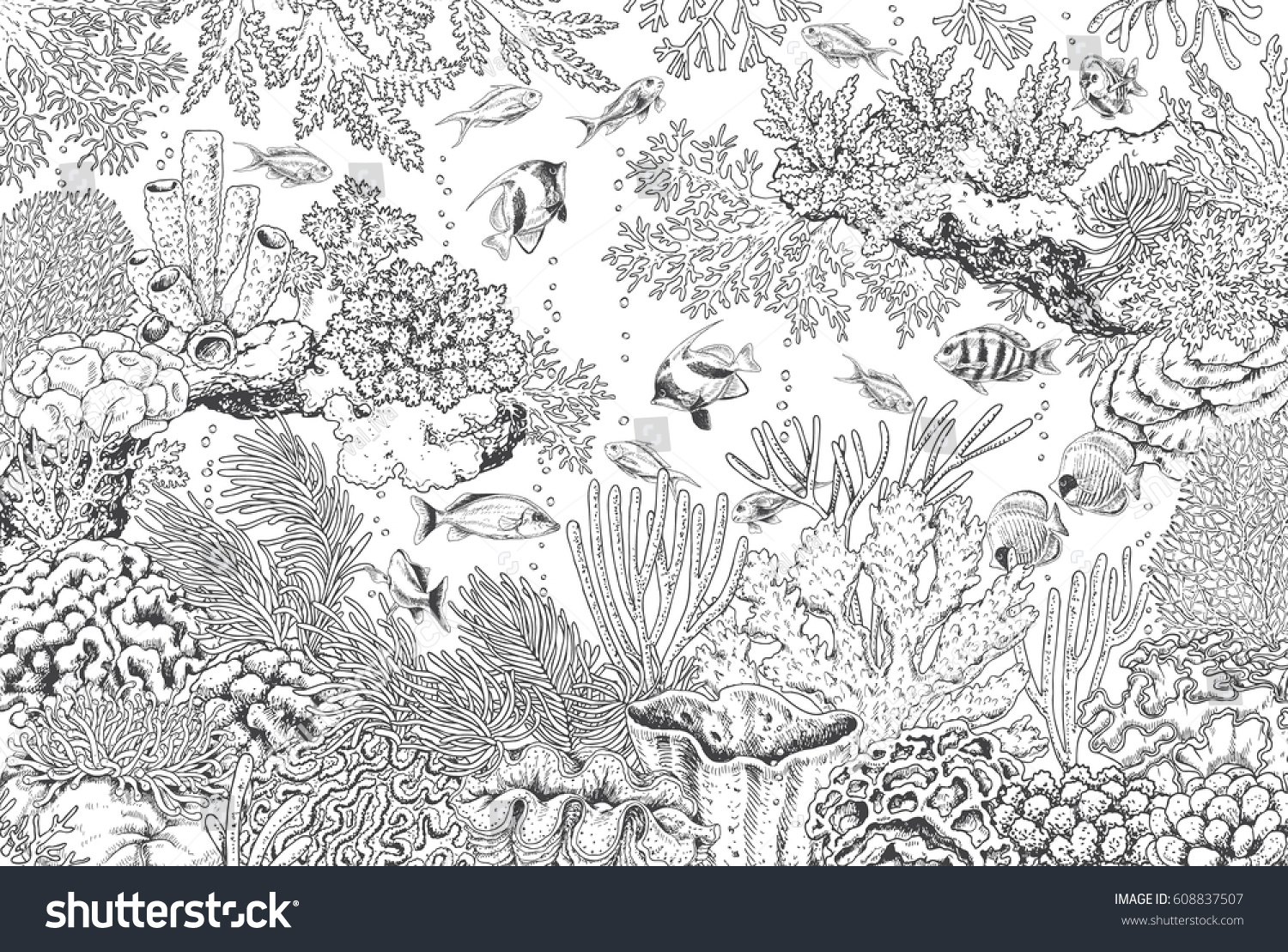 Hand Drawn Underwater Natural Elements Sketch Stock Vector (Royalty ...