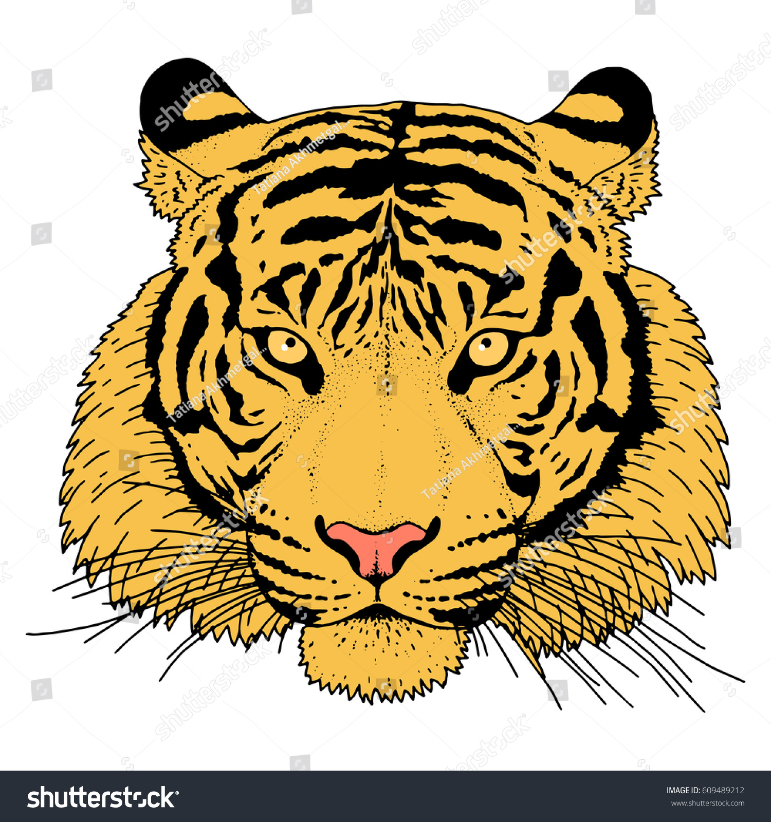 Vektor Stok Tiger Head Illustration Vector Tanpa Royalti