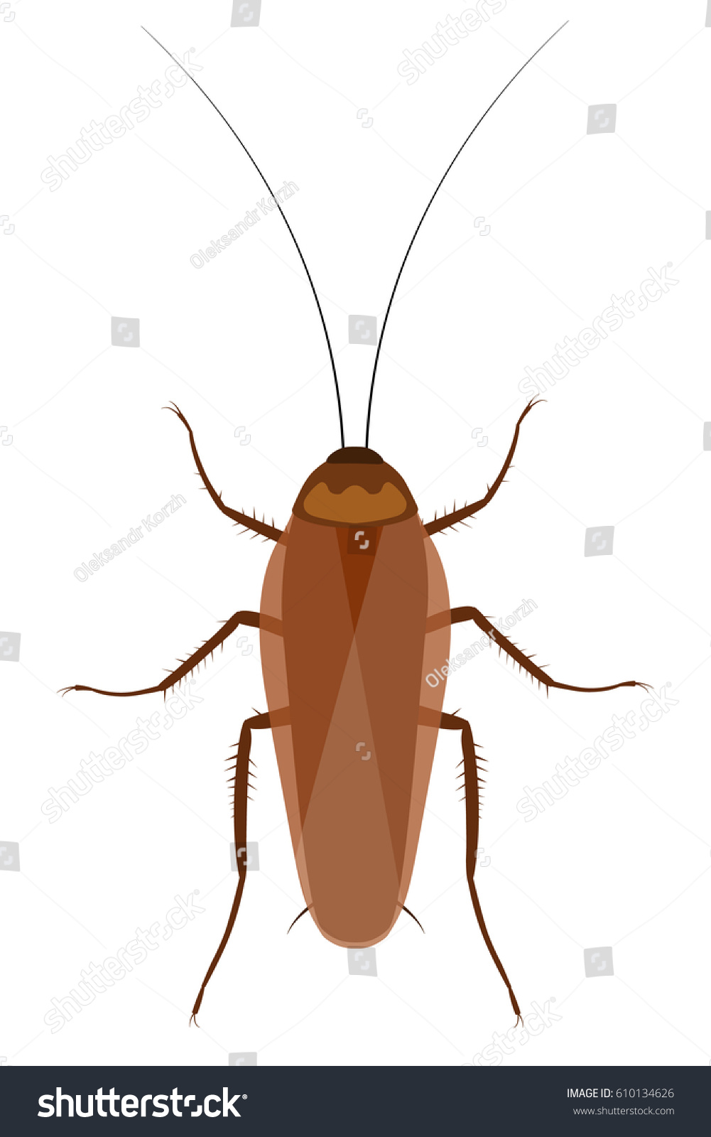 Vektor Stok Stylized Vector Cockroach (Tanpa Royalti) 610134626 ...