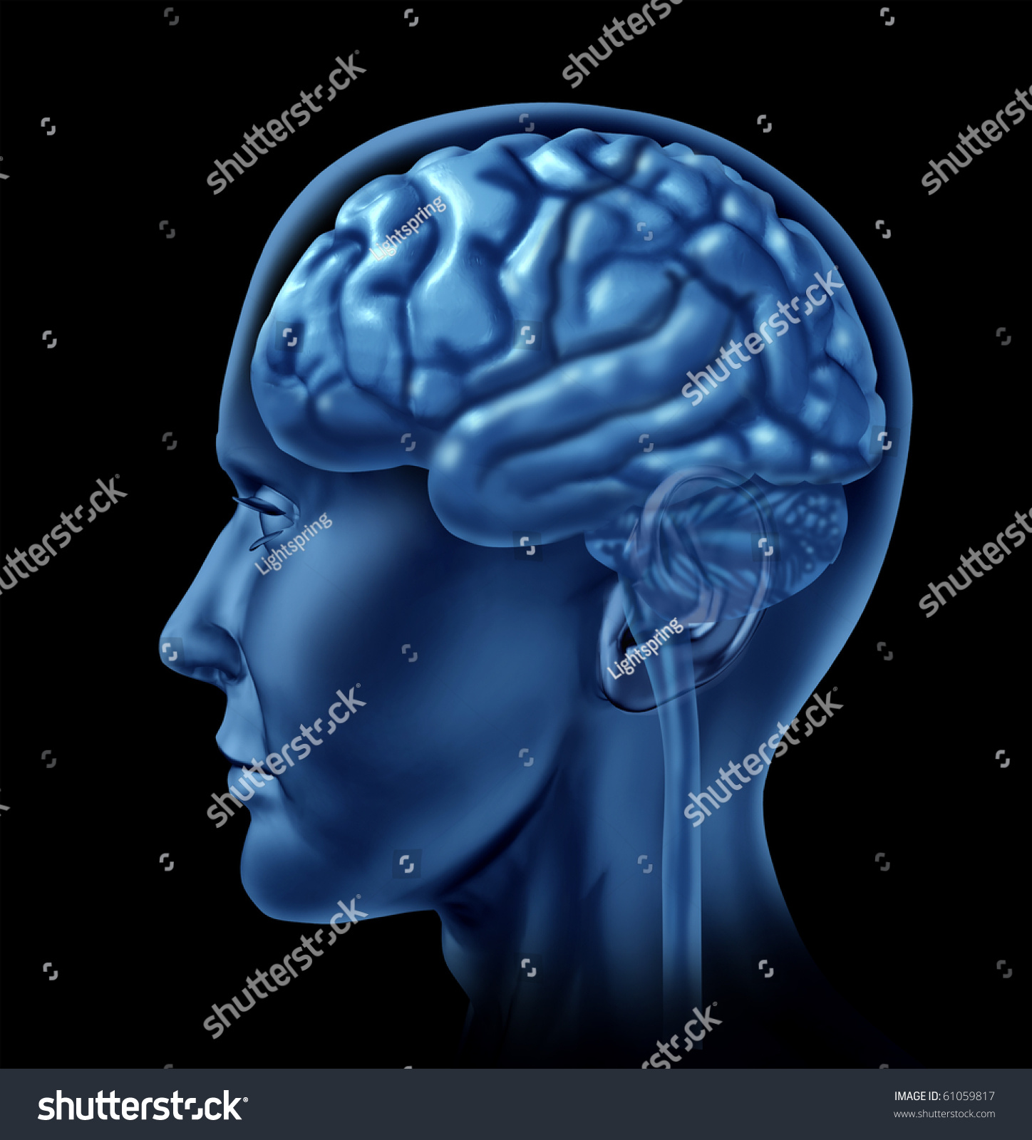 Brain Side View Medical Mental Health Stock Illustration 61059817 ...