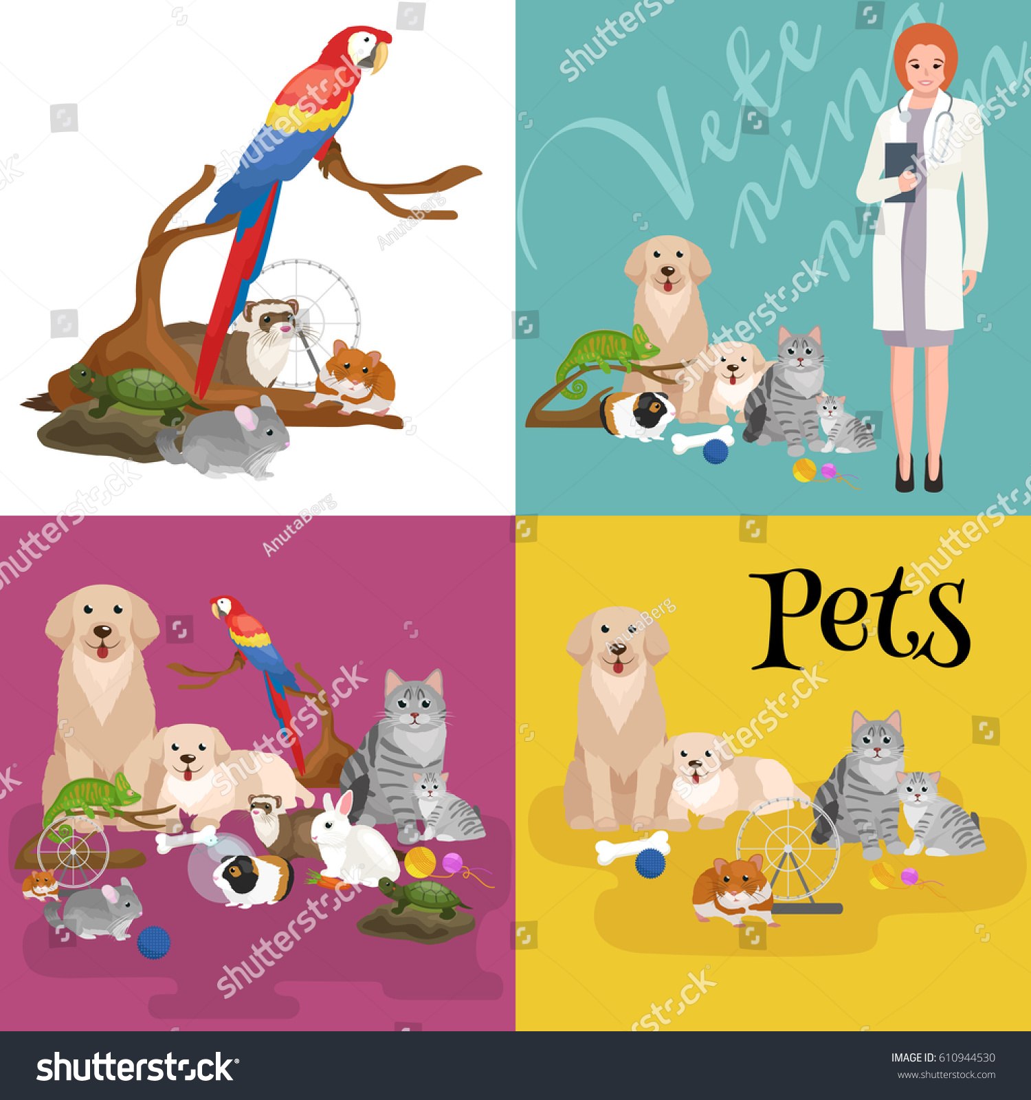 Domestic Animals Care Puppy Bird Set Stock Illustration 610944530 ...