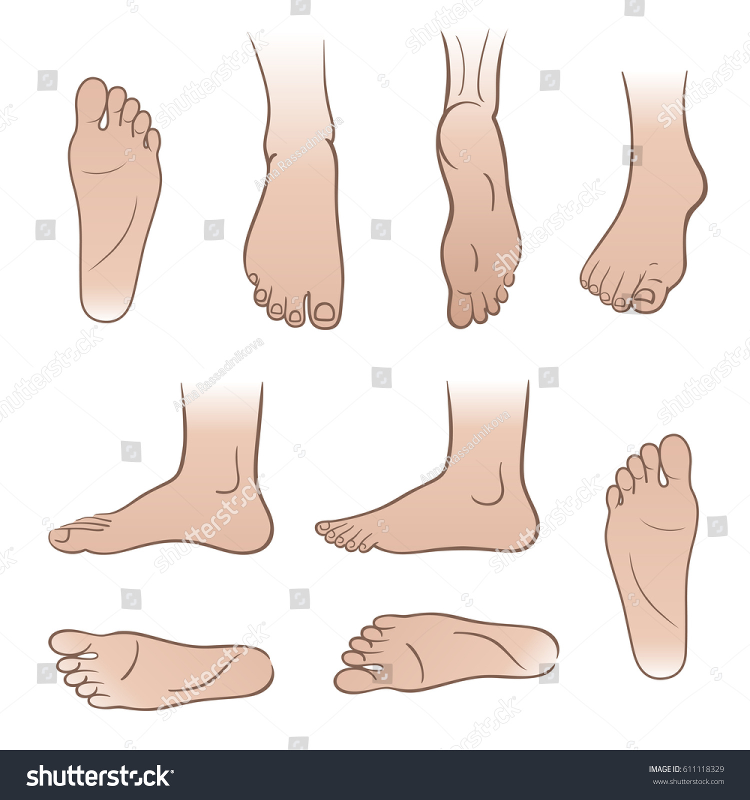 Closeup Outlined Colored Man Feet Isolated Stock Vector (Royalty Free ...