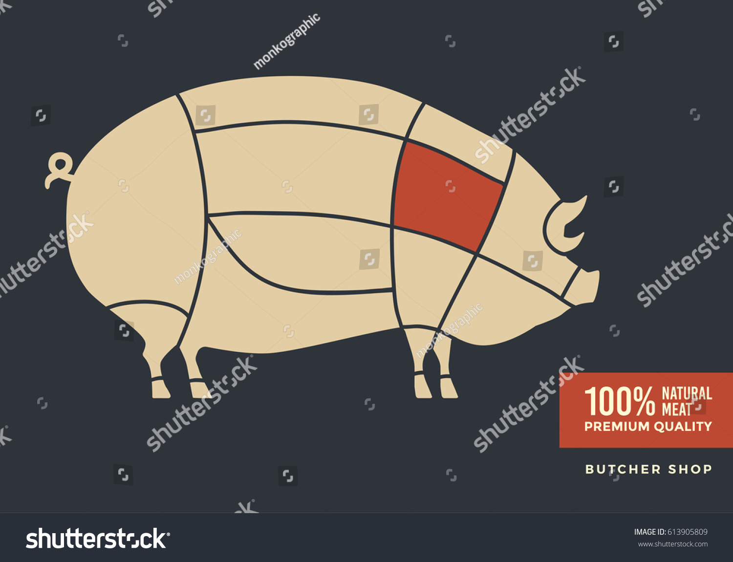 Cuts Pork Poster Design Butcher Shop Stock Vector (Royalty Free ...