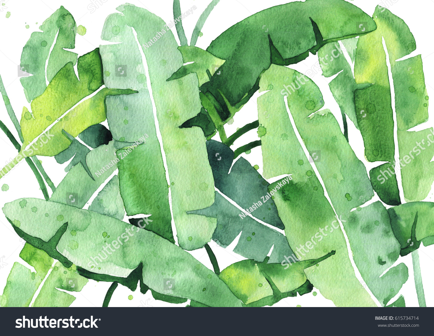 Рисунок акварель банановые листья