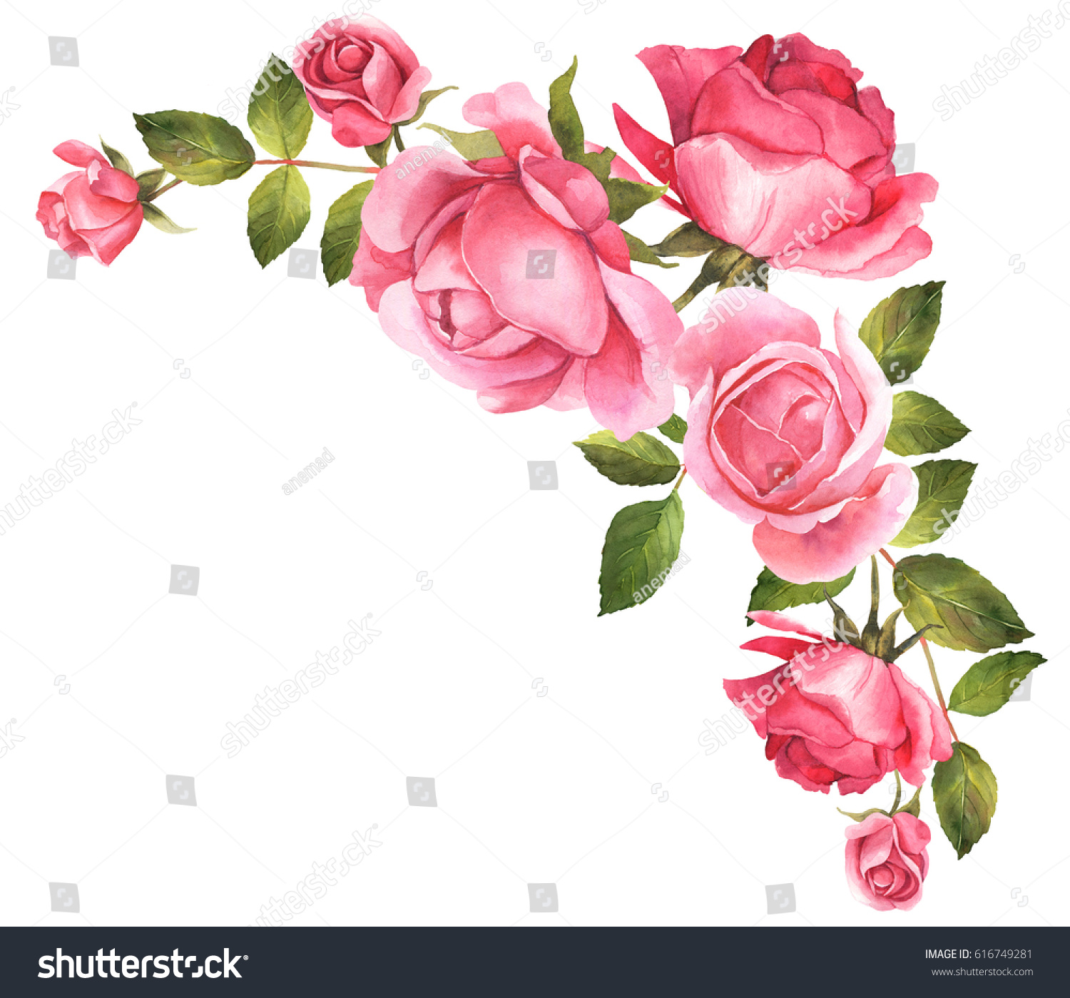 Roses Watercolor Illustration Bouquet Stock Illustration 616749281 ...