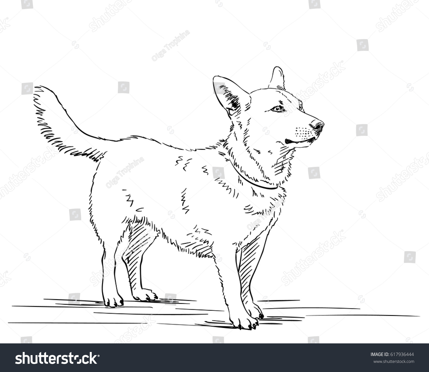 Sketch Dog Hand Drawn Illustration Line Stock Vector (Royalty Free ...