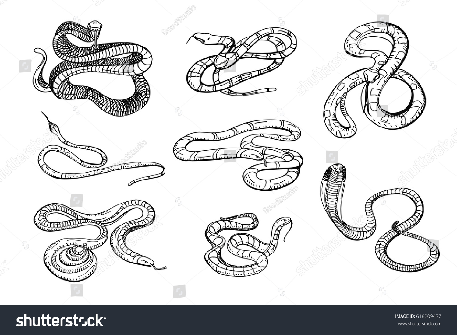 Set Various Snake Viper Cobra Other Stock Vector (Royalty Free ...