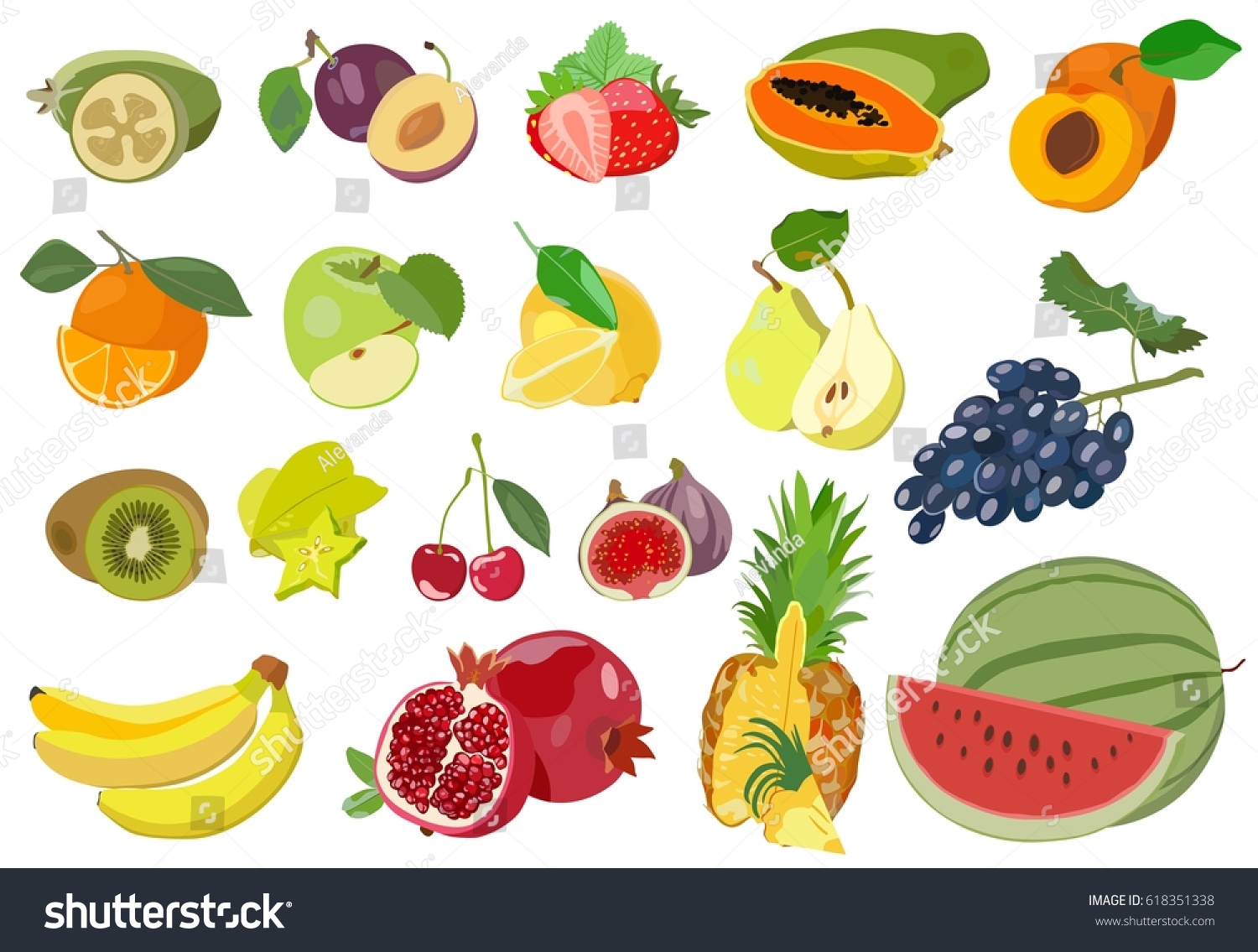 Collection Vector Illustrations Colorful Fruits Isolated Stock Vector ...