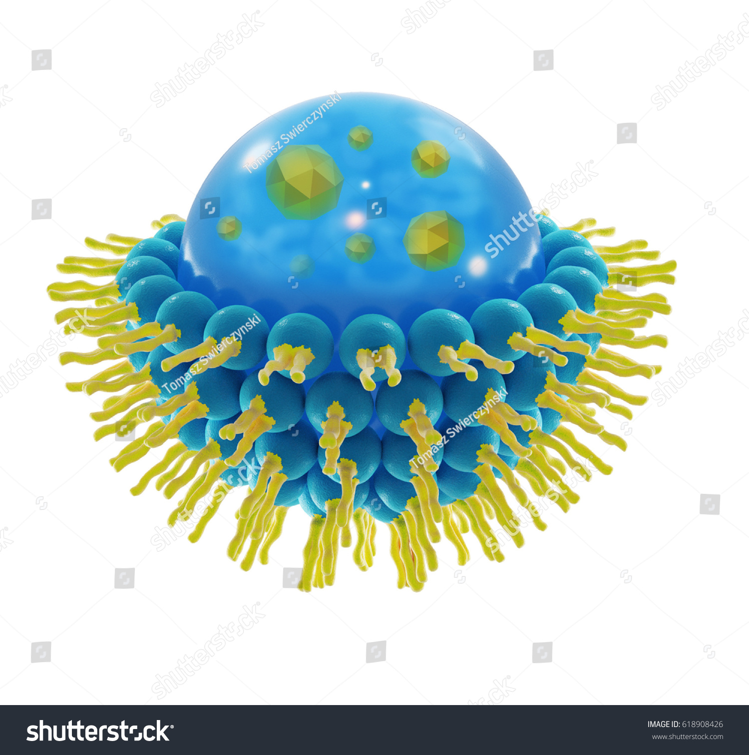 Liposome Structure Cell 3d Rendering Stock Illustration 618908426 ...