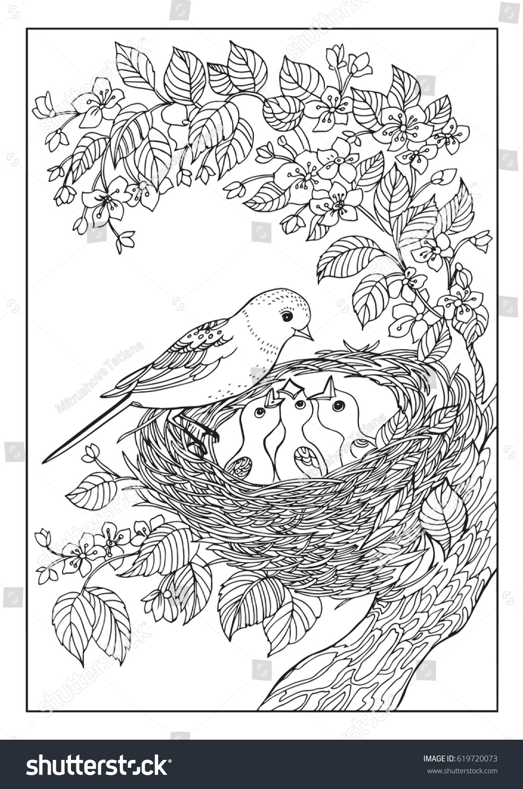 Рисунки птиц на дереве с птенцами