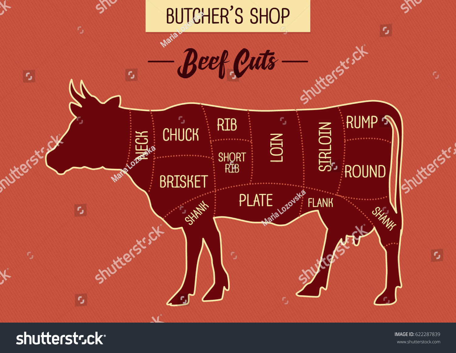 Butcher Shops Beef Cut Illustration Chart Stock Vector (Royalty Free