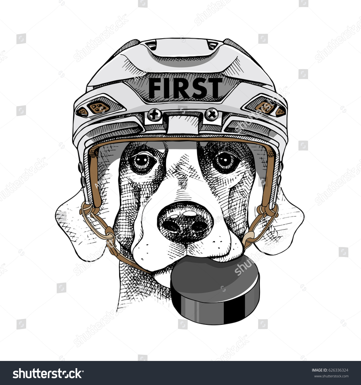 dog hockey helmet