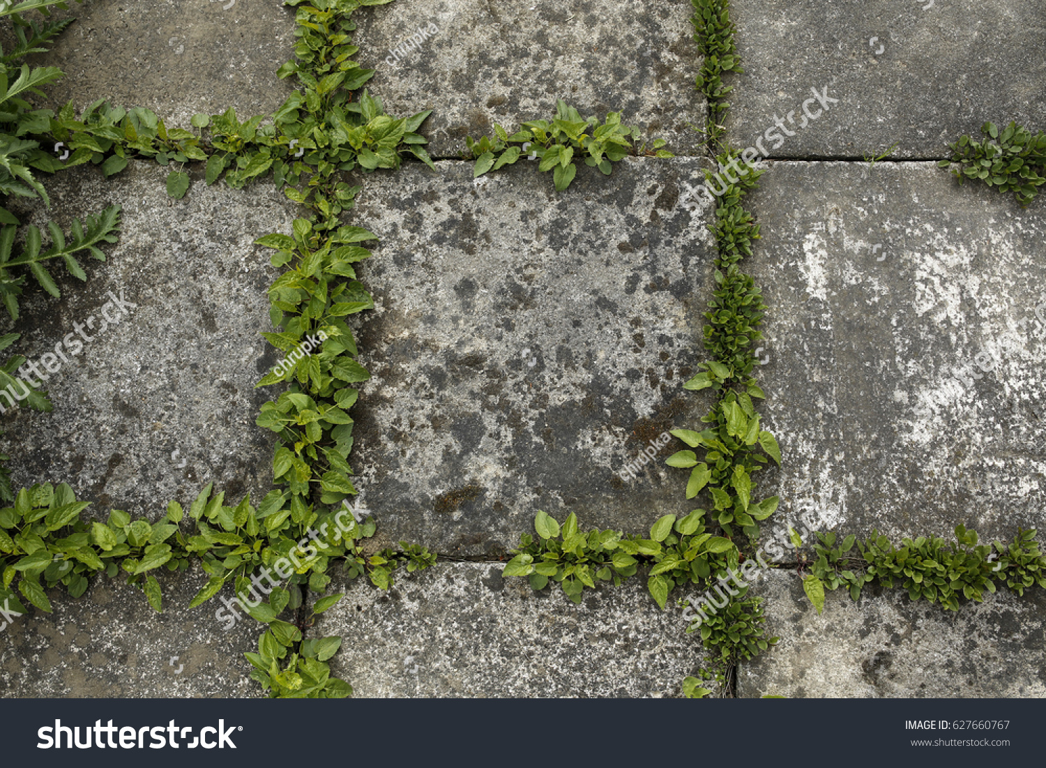 Pavement Tiles Green Grass Background Stock Photo 627660767 | Shutterstock