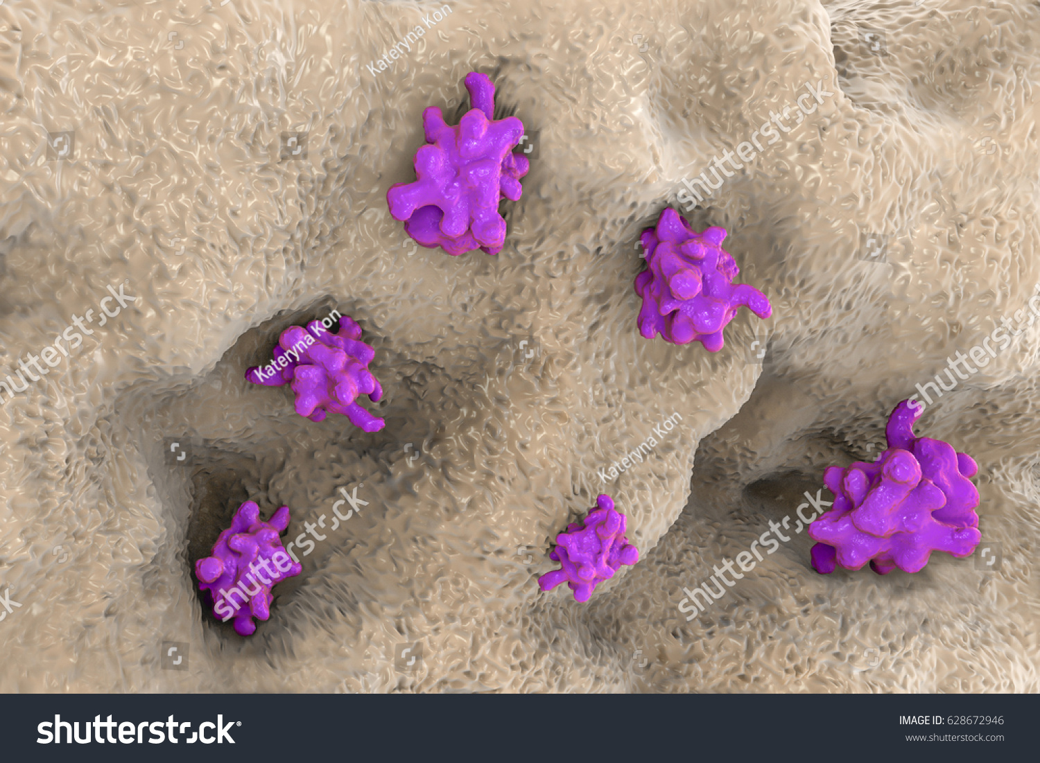 Entamoeba Histolytica Protozoan Invading Intestine Parasite 库存插图 628672946 Shutterstock 1493