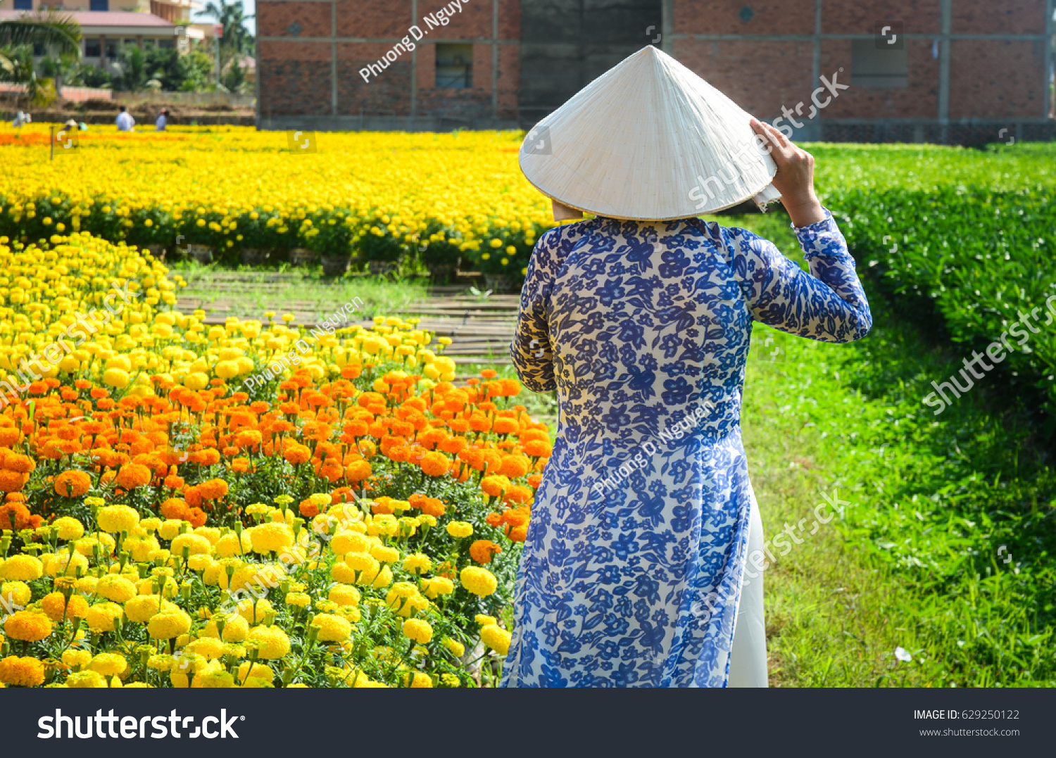 Vietnamese Woman Traditional Dress Conical Hat Stock Photo 629250122 ...