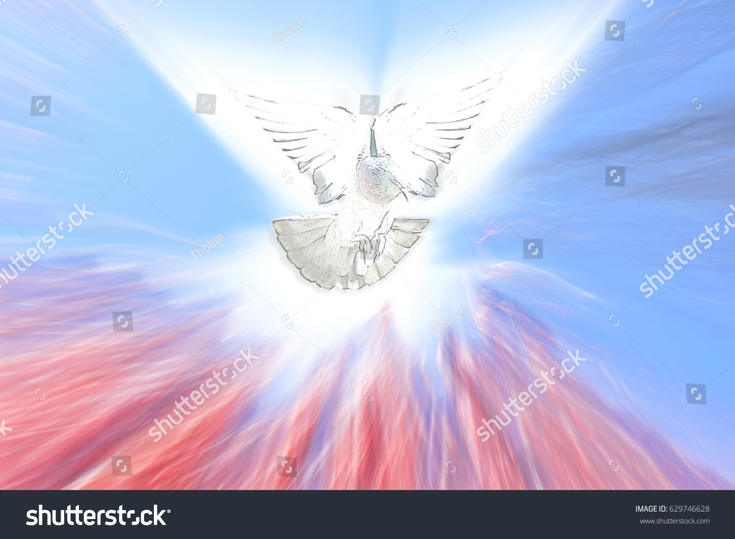 Holy Spirit Pentecost Confirmation Symbol Dove Stock Illustration 629746628 Shutterstock 7988