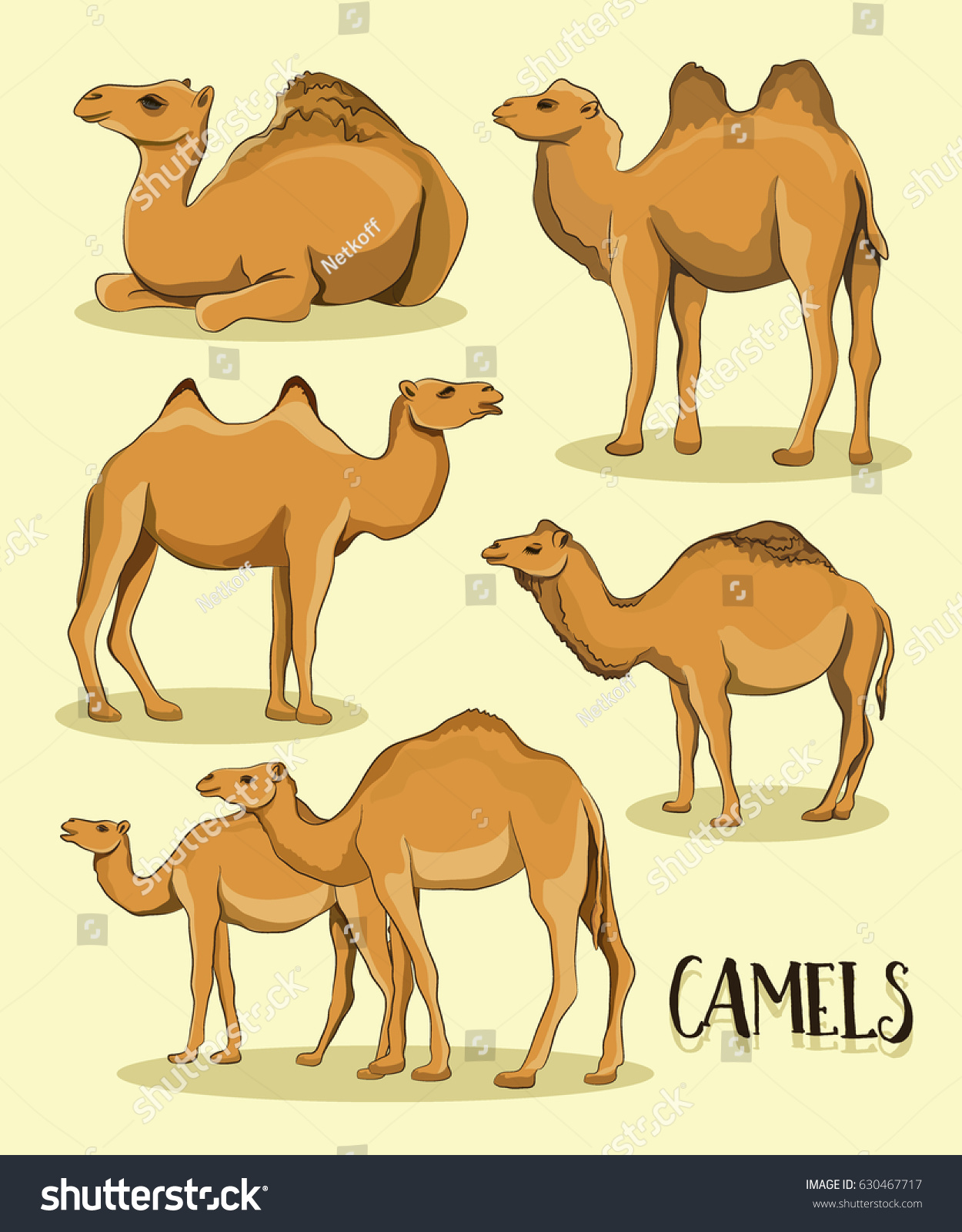 Camel Silhouettes Set Stock Vector (Royalty Free) 630467717 | Shutterstock