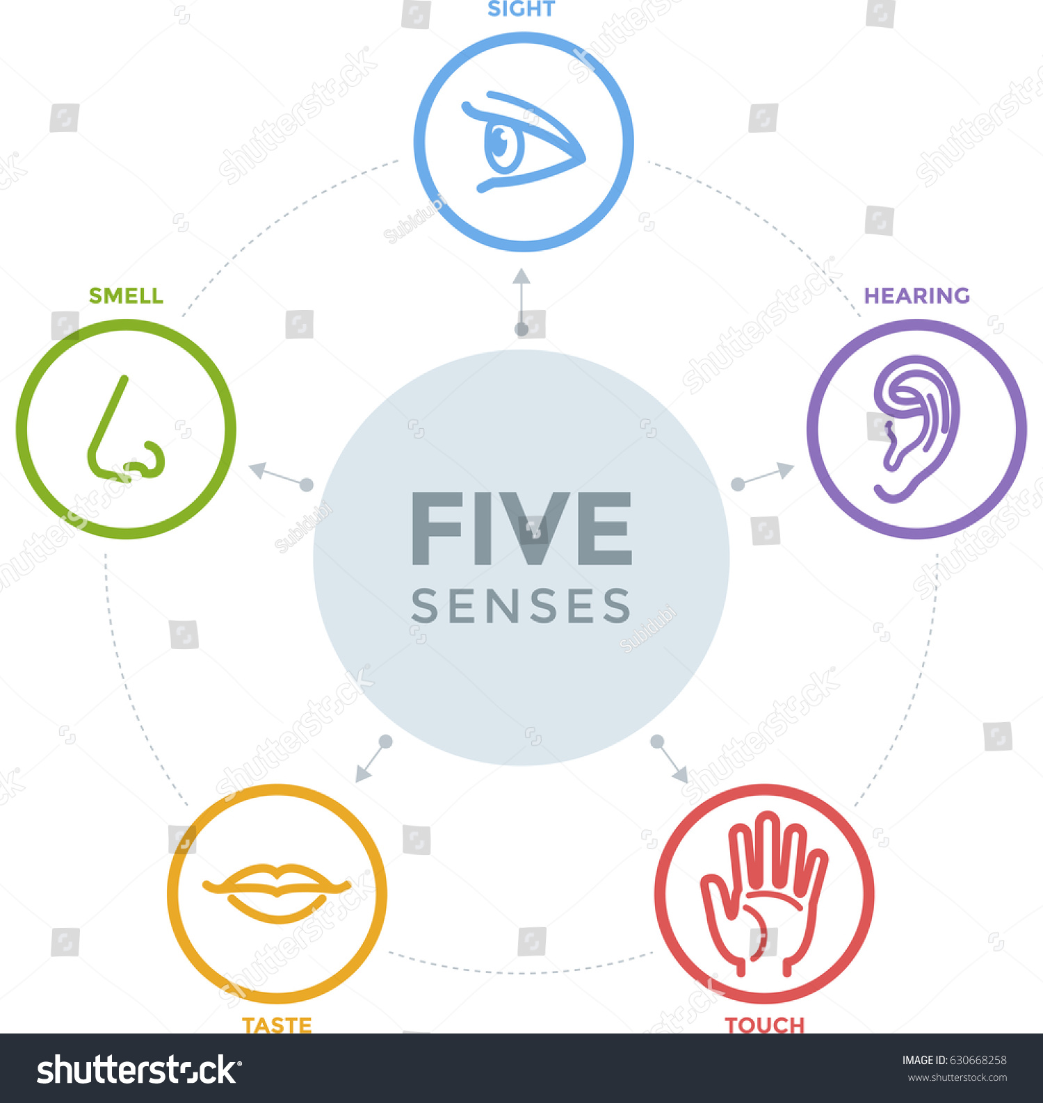 Five Senses Complex Line Icons Mind Stock Vector (Royalty Free ...