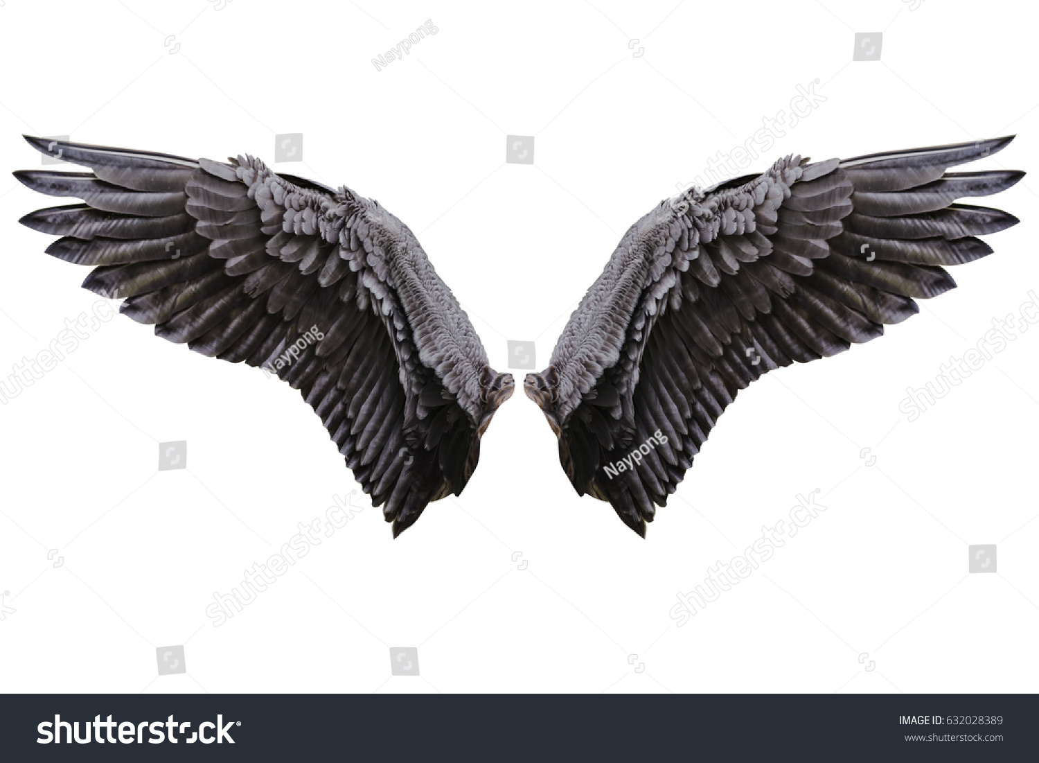 Angel Wings Isolated On White Background Stock Photo 632028389 ...