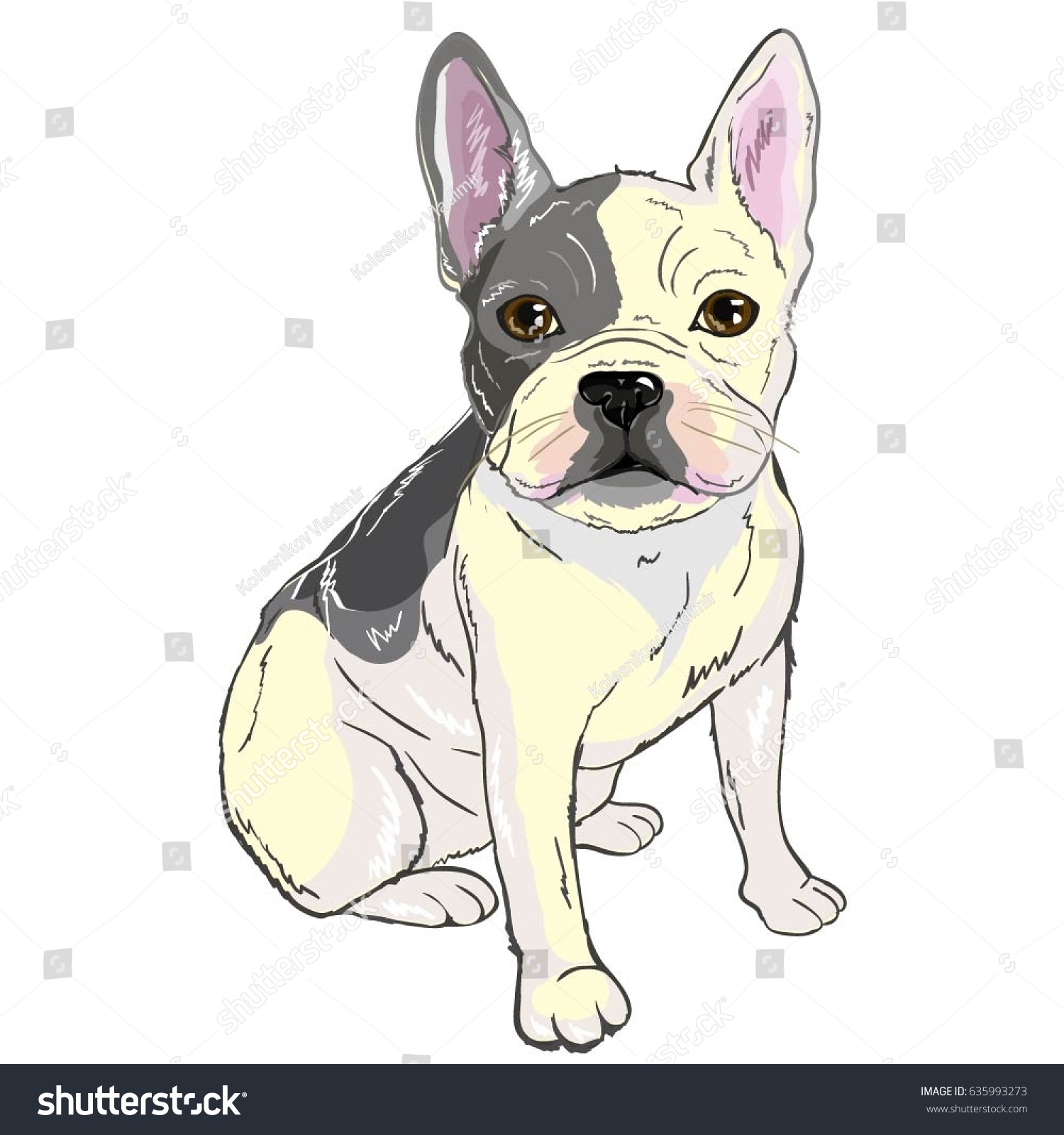 Bulldog Illustration Vector Stock Vector (Royalty Free) 635993273 ...