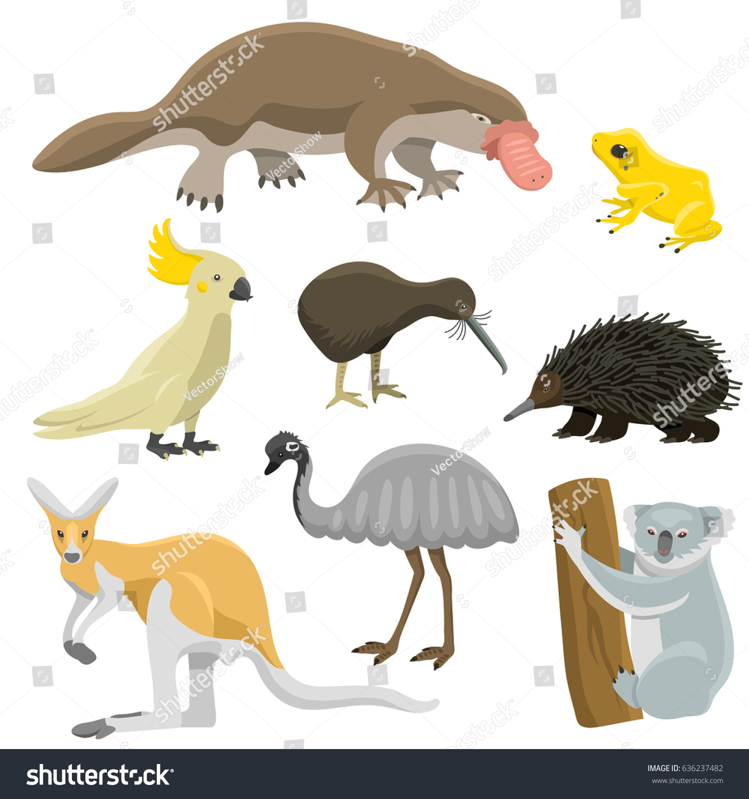 Australia Wild Animals Cartoon Popular Nature Stock Vector (royalty 