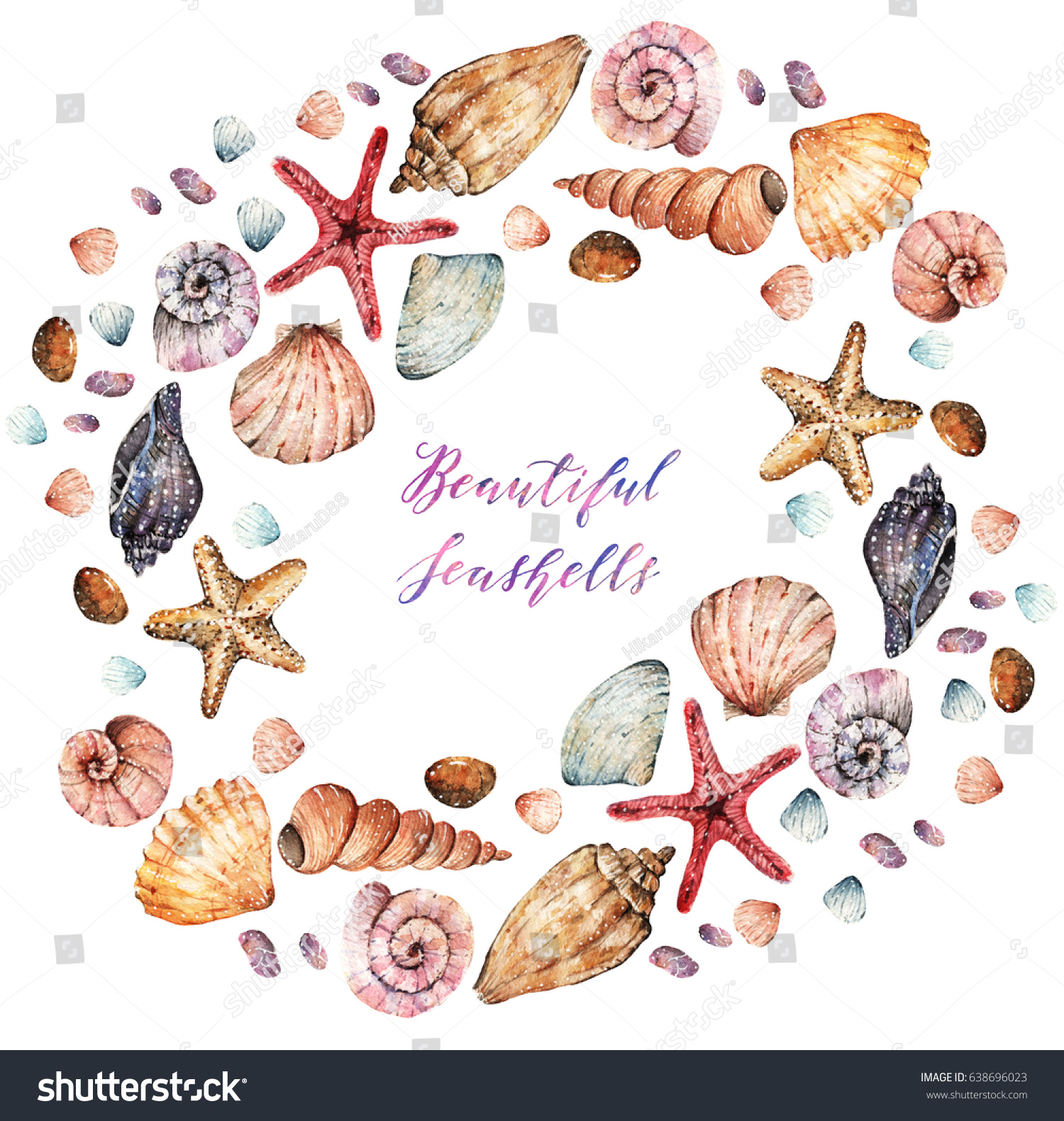 Watercolor Illustration Beautiful Seashells Set Background Stock ...