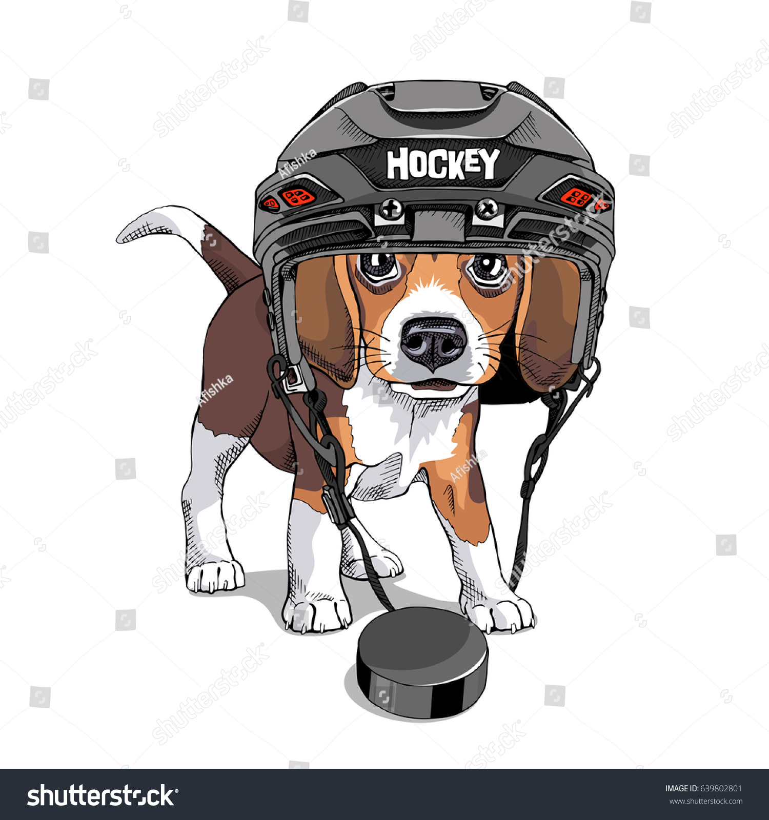 dog hockey helmet