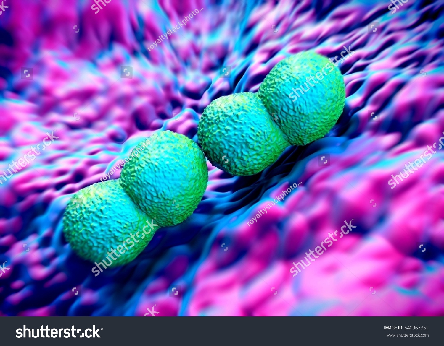 3d Rendering Neisseria Gonorrhoeae Bacteria 스톡 일러스트 640967362 Shutterstock 4855