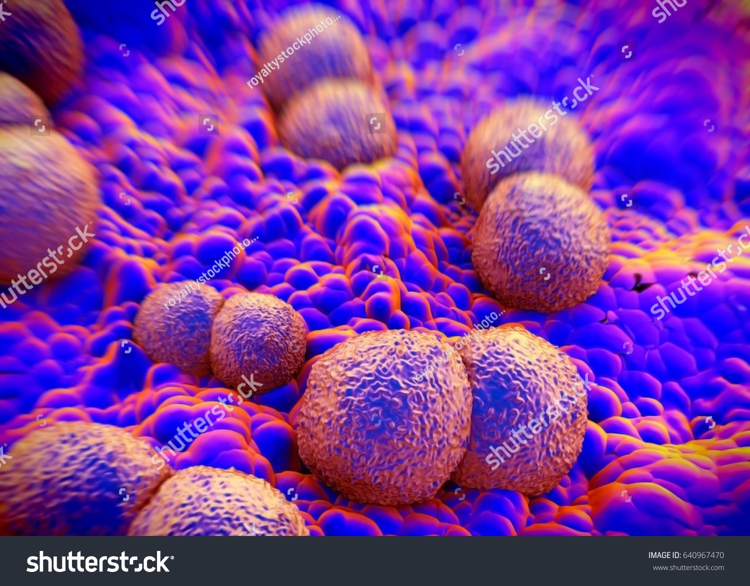 3d Rendering Neisseria Gonorrhoeae Bacteria Stock Illustration ...