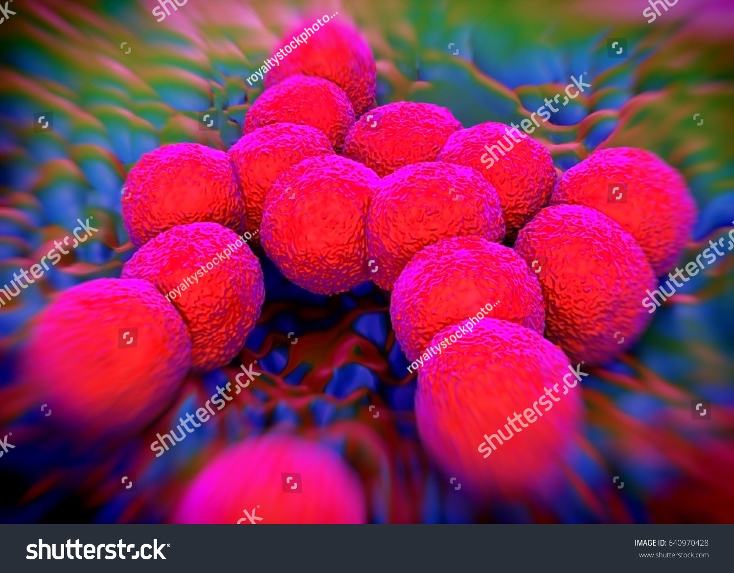 3d Rendering Neisseria Gonorrhoeae Bacteria Stock Illustration 640970428 Shutterstock 7865