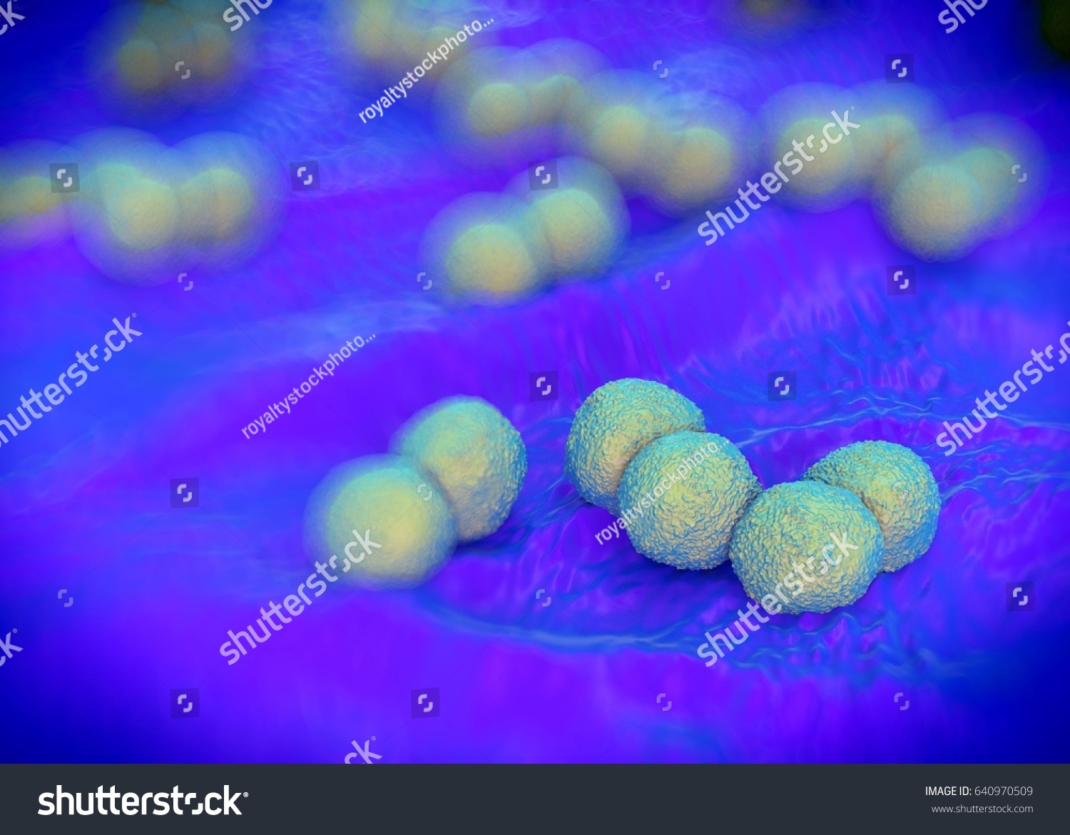 3d Rendering Neisseria Gonorrhoeae Bacteria Stock Illustration 640970509 Shutterstock 1246