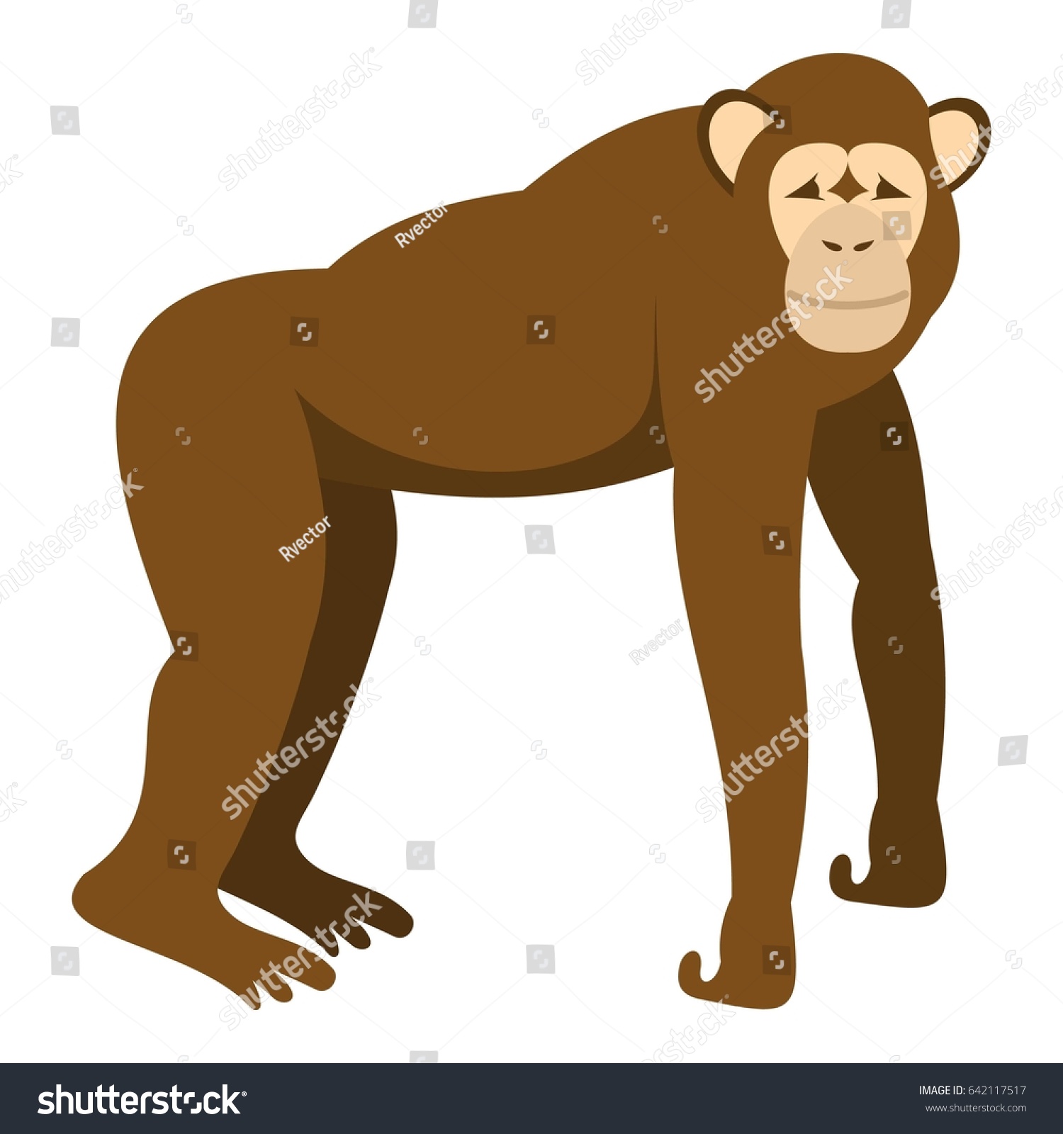 Brown Monkey Standing On Four Legs Stock Illustration 642117517 ...