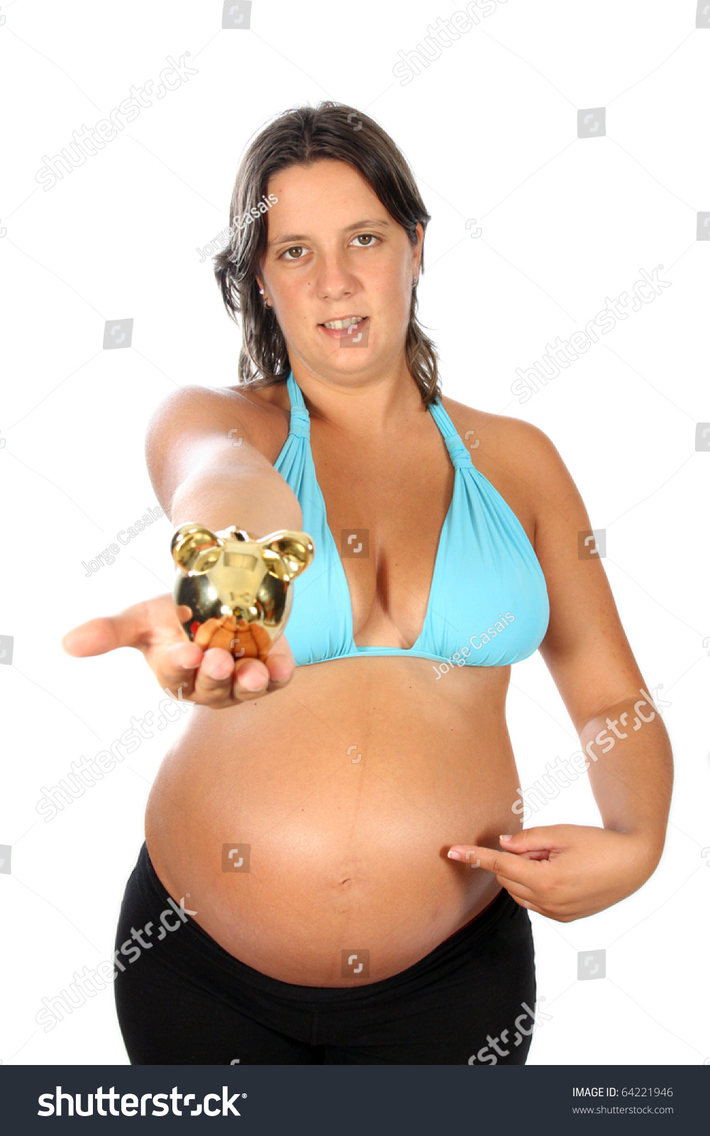 Pig Pregnant