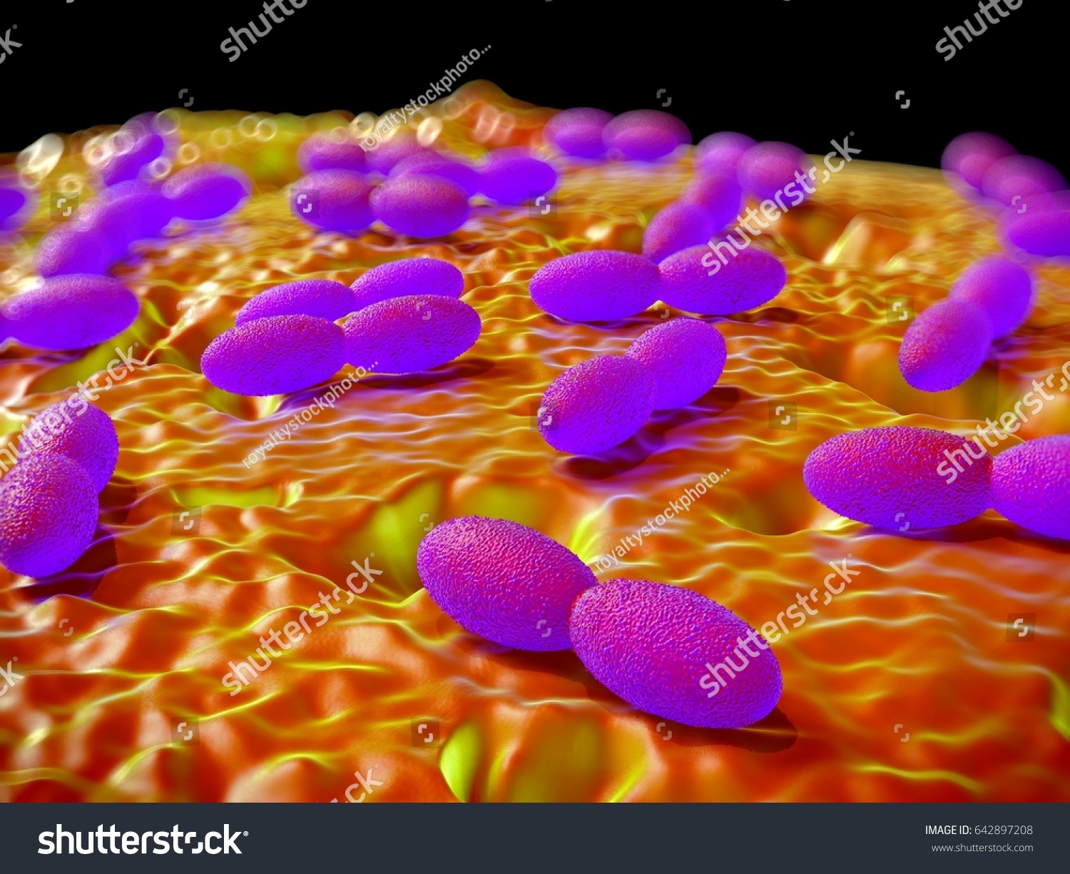 3d Rendering Acetobacter Bacteria Stock Illustration 642897208 ...