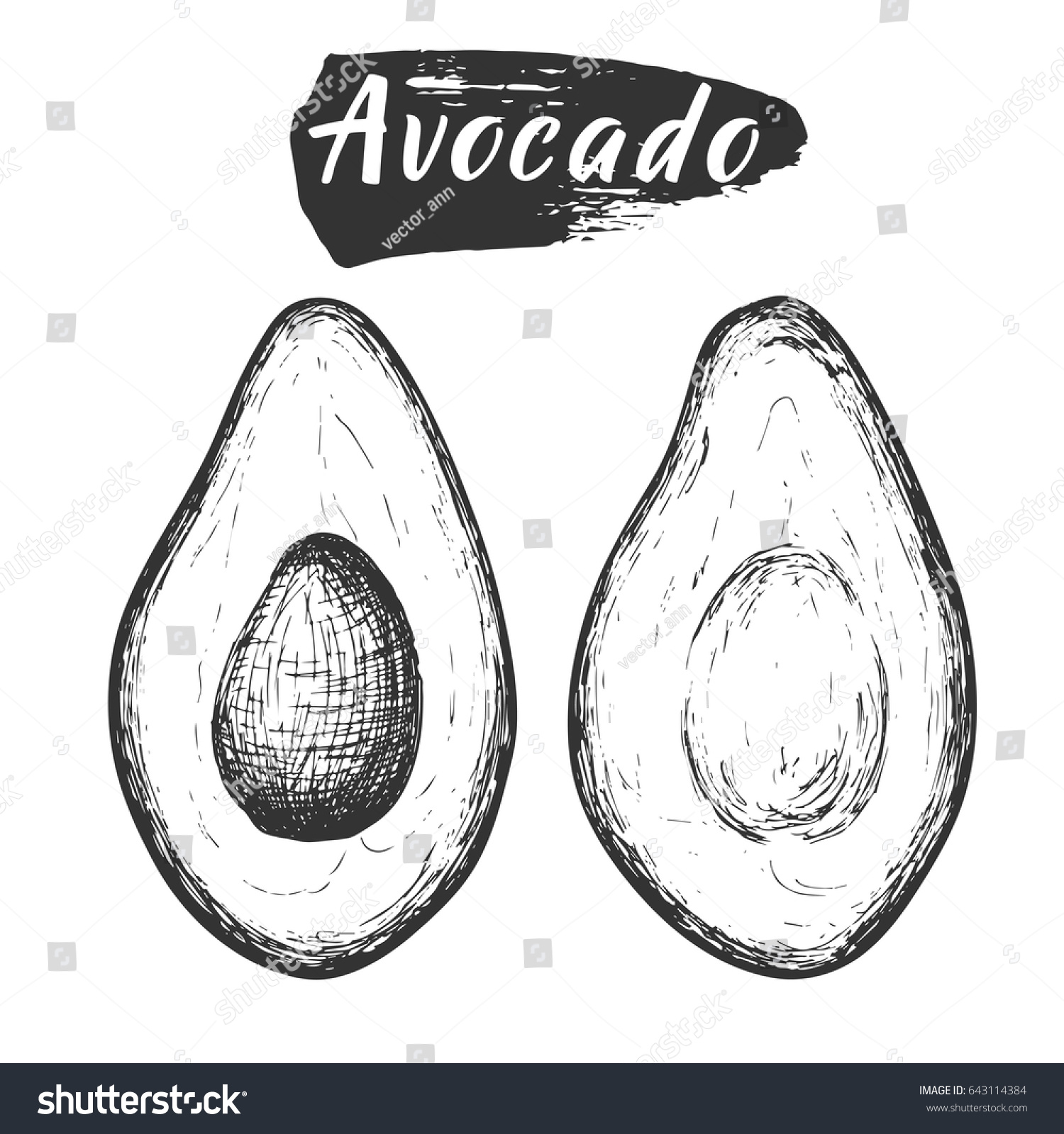 Эскиз авокадо рисунок