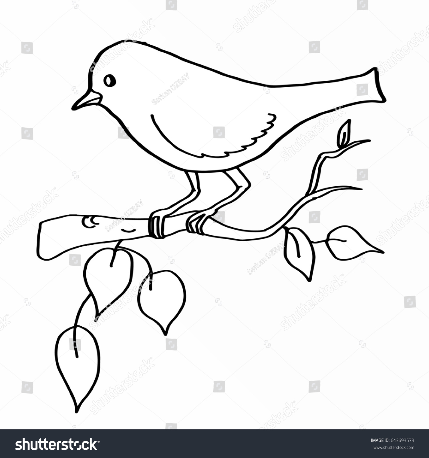 Bird Black White Coloring Page Stock Illustration 643693573 | Shutterstock