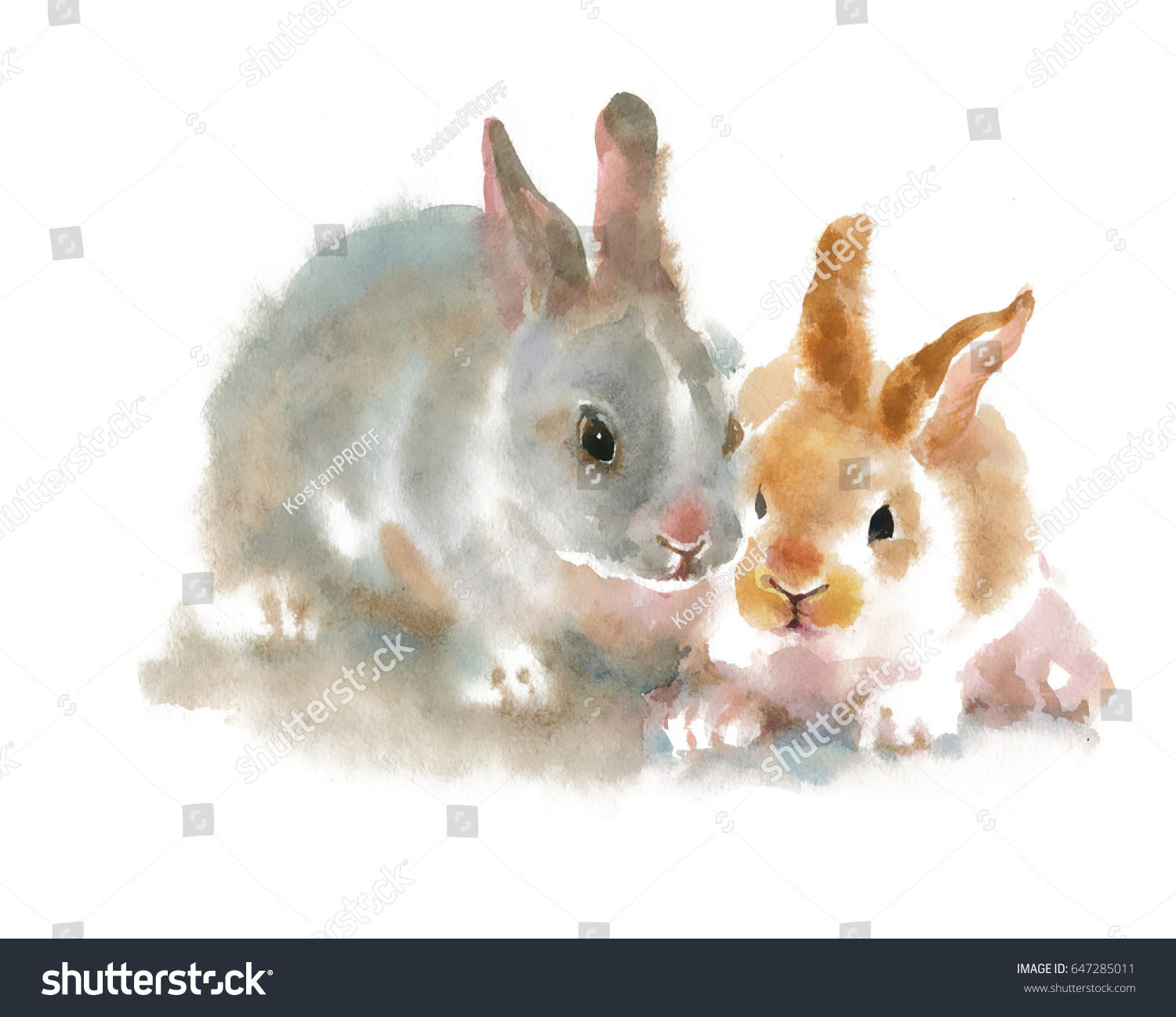 Two Cute Rabbits On White Background Stock Illustration 647285011 ...