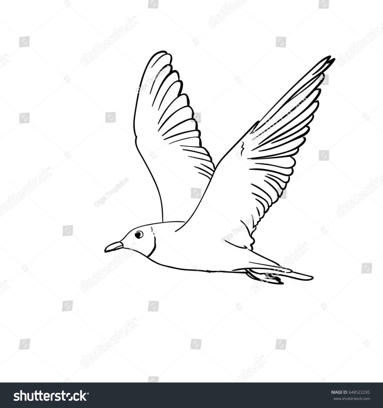 Vector Hand Drawn Flying Seagull Line Stock Vector (Royalty Free ...